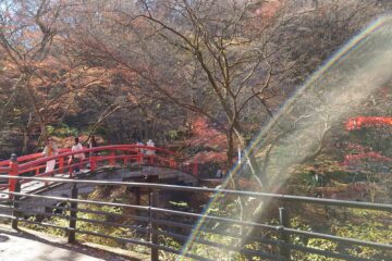 社員旅行で群馬へ　～1泊2日・温泉と紅葉のリフレッシュ旅～