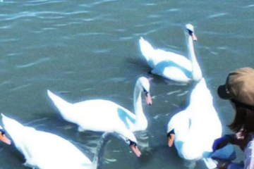 入社のご挨拶❤️